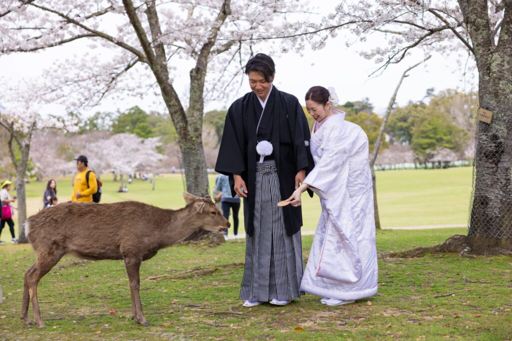 フォトウェディング・結婚式前撮り_フォトスタジオワタナベ(渡辺写真館)奈良本店_奈良市・大和郡山市・天理市_フォトウェディングロケ_特徴